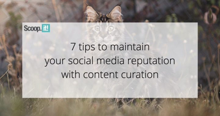 7 Tips to Maintain Your Social Media Reputation With Content Curation